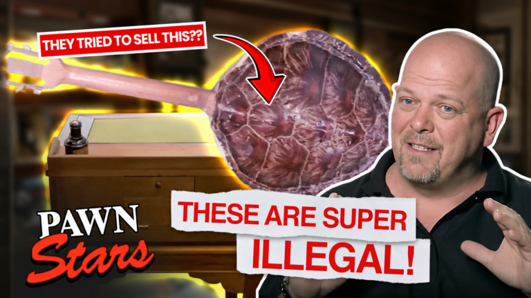 Pawn Stars Illegal Items
