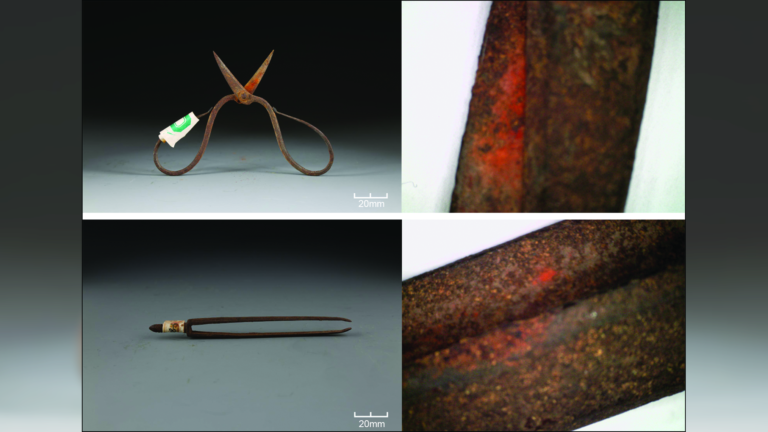 Toxic plant on Ming dynasty-era surgical tools may be world’s oldest chemical evidence of topical anesthetic