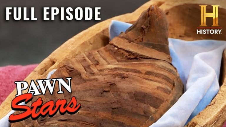 Mummy Mysteries and a High-Stakes Treasure Hunt | Pawn Stars (S10, E24) | Full Episode