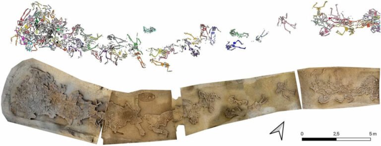 Mass grave in a ditch dug in Vrábal, Slovakia, with skeletons highlighted in different colors above