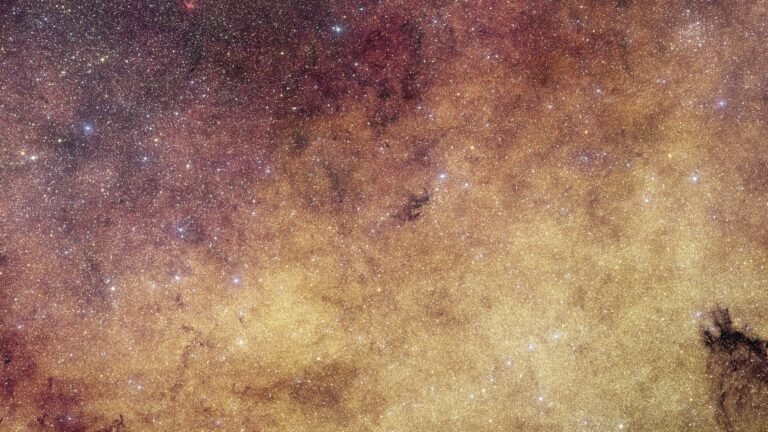 New Euclid space telescope image of 60 million Milky Way stars could keep astronomers busy for decades