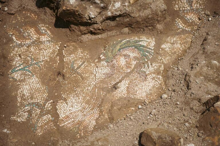 News - Mosaic Depicting a River God Uncovered in Turkey - Archaeology Magazine