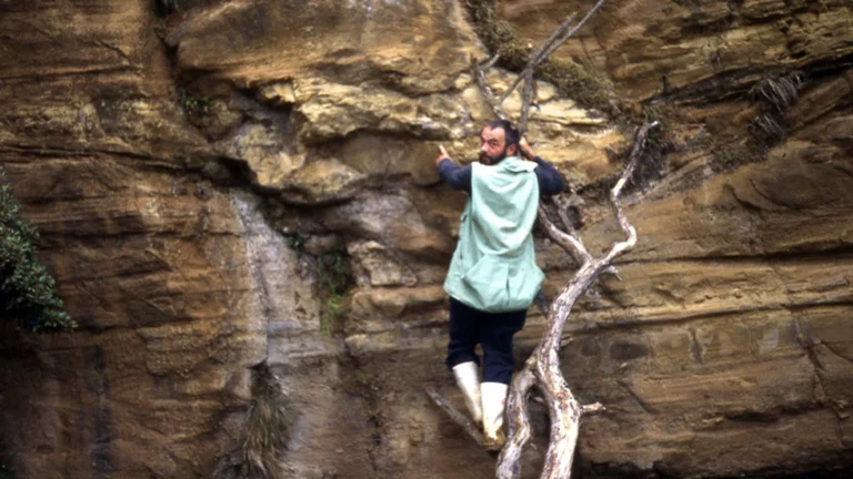 The missing notebooks that solved a 55-million-year-old fossil mystery