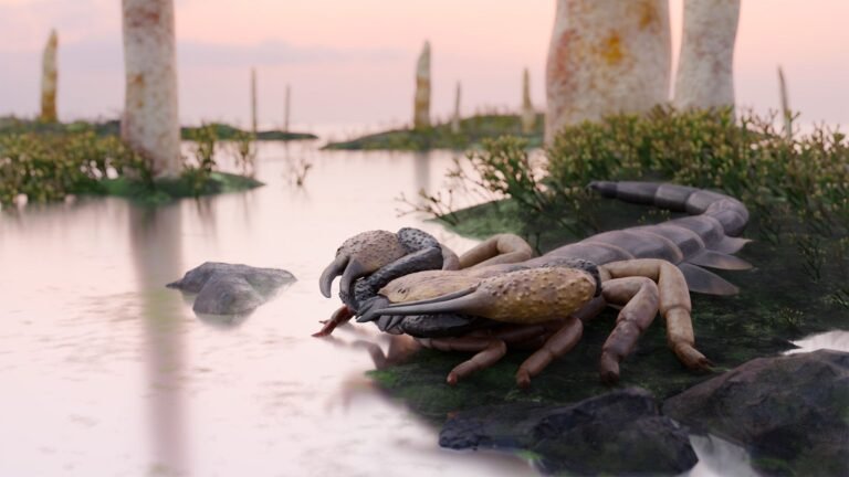 A reconstruction of a brown and black scorpion on the edge of a river bank.