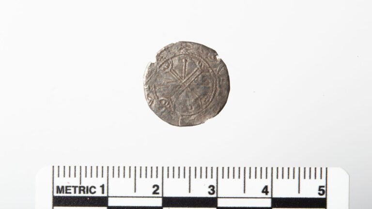 Dirty 'button' unearthed by metal detectorist turns out to be a rare 900-year-old coin from Norway's last Viking king, Magnus Barefoot