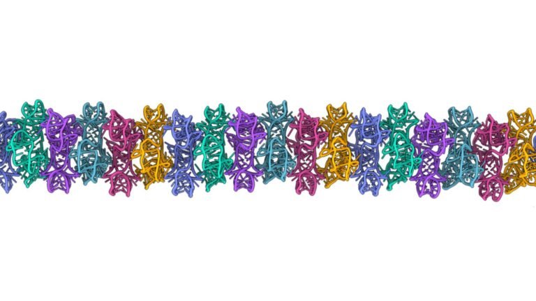 'RNA can do things which we have never seen before': New study challenges assumptions about what RNA was up to at the dawn of life