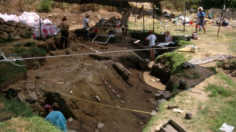 Scientists discover what kept ancient campfires burning for generations